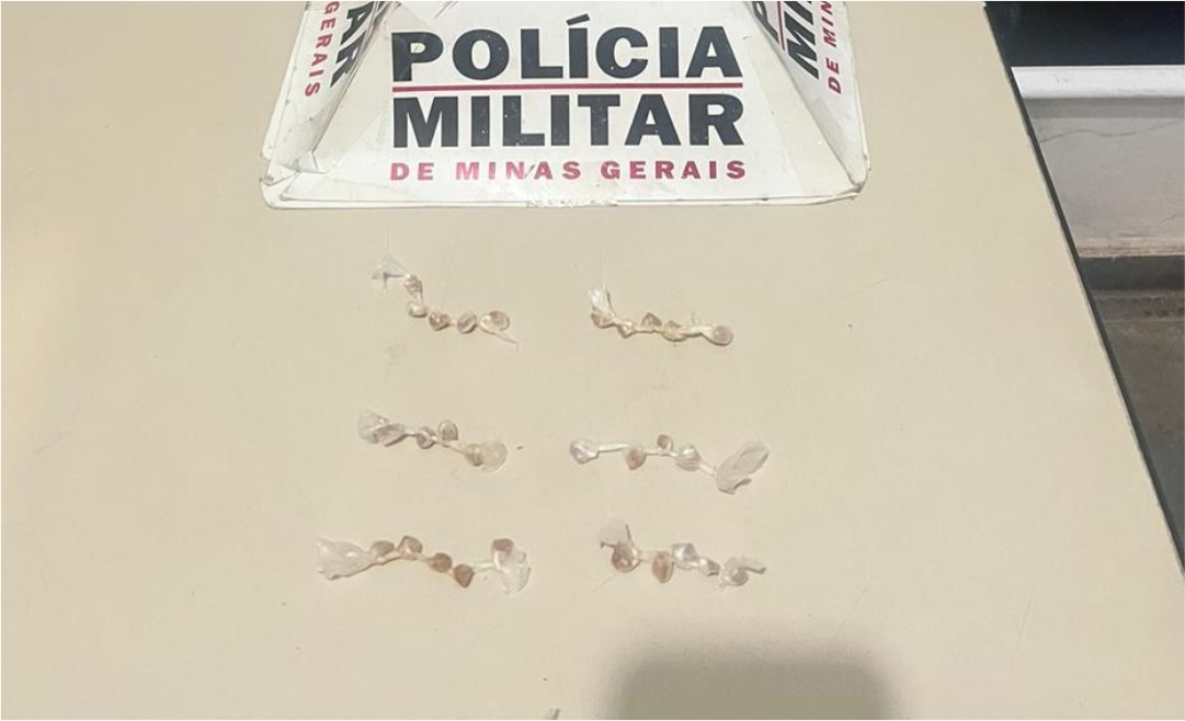 Tráfico e Apreensão de Entorpecentes