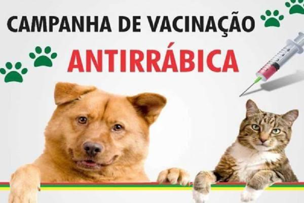 CAMPANHA DE VACINAÇÃO ANTIRRÁBICA COMEÇA NESTA SEGUNDA-FEIRA (14) EM IGARAPÉ