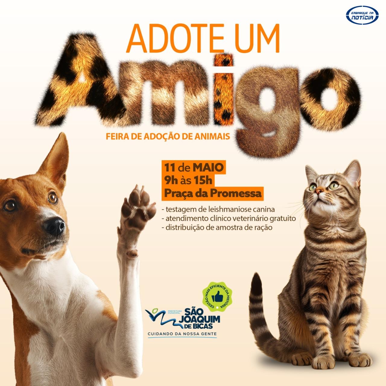 Prefeitura de São Joaquim de Bicas realiza primeira feira de adoção de animais