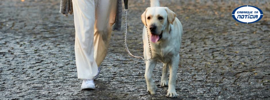 Minas Gerais dá iníciou à campanha anual de vacinação antirrábica nesta segunda-feira (1/7)