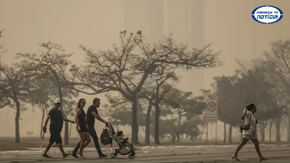 Guardiões da natureza, brigadistas atuam de forma fundamental no combate a incêndios florestais