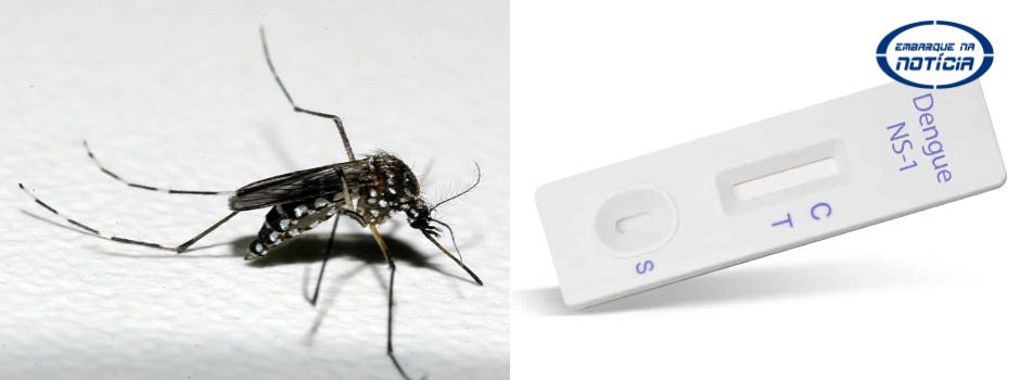 Governo de Minas vai distribuir testes rápidos de diagnóstico de dengue aos municípios