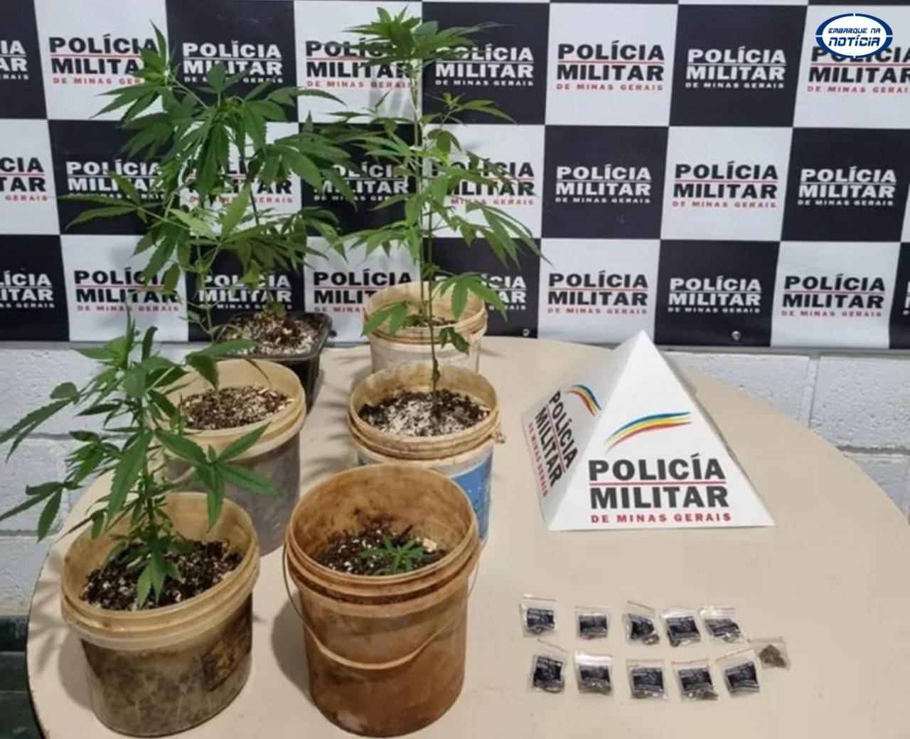 Polícia apreende drogas em residência no bairro São Gerônimo, em Juatuba