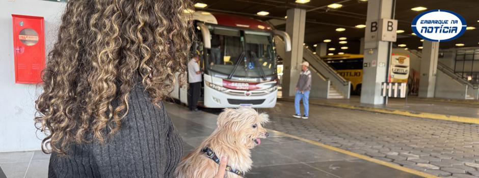 Governo de Minas regulamenta transporte de cães e gatos em ônibus intermunicipais