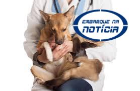 Juatuba promove Mutirão de Castração Gratuita para cães e gatos