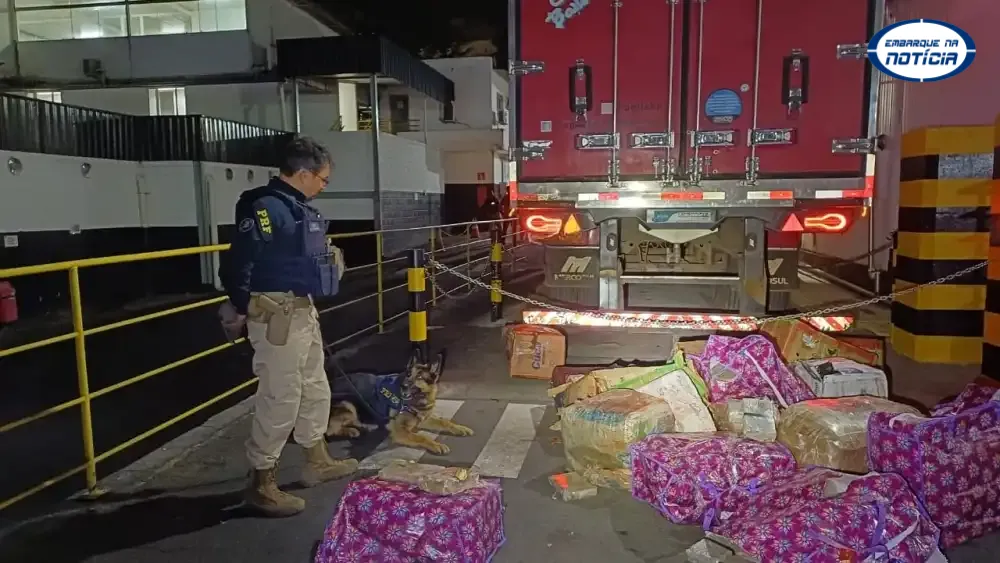 Caminhoneiro é preso com 400 kg de maconha escondidos em carga de carne na Grande BH