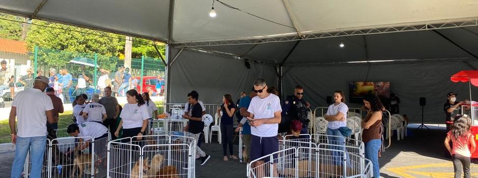 Mutirão em Betim ultrapassa meta com 1.462 mil castrações de cães e gatos