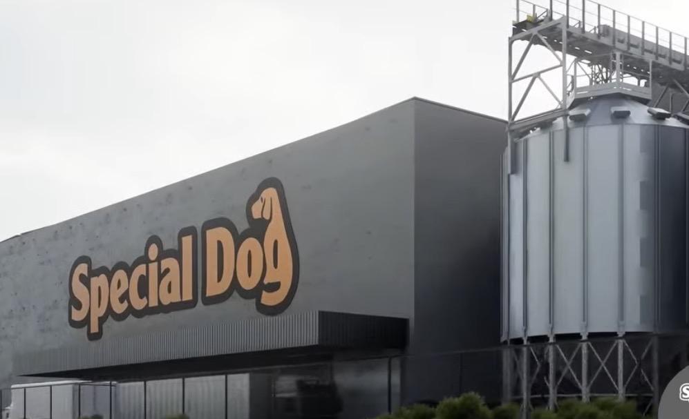 Special Dog realiza processo seletivo em Mateus Leme nesta sexta-feira