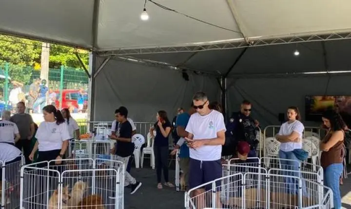 Mutirão em Betim ultrapassa meta com 1.462 mil castrações de cães e gatos