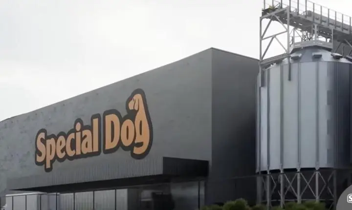 Special Dog realiza processo seletivo em Mateus Leme nesta sexta-feira